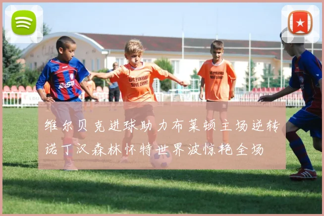 维尔贝克进球助力布莱顿主场逆转诺丁汉森林怀特世界波惊艳全场