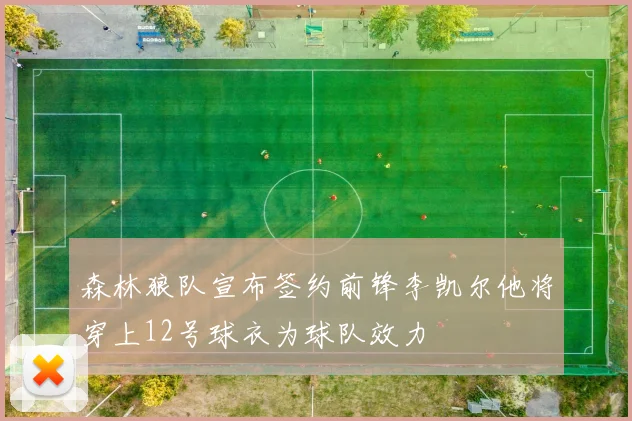 森林狼队宣布签约前锋李凯尔他将穿上12号球衣为球队效力