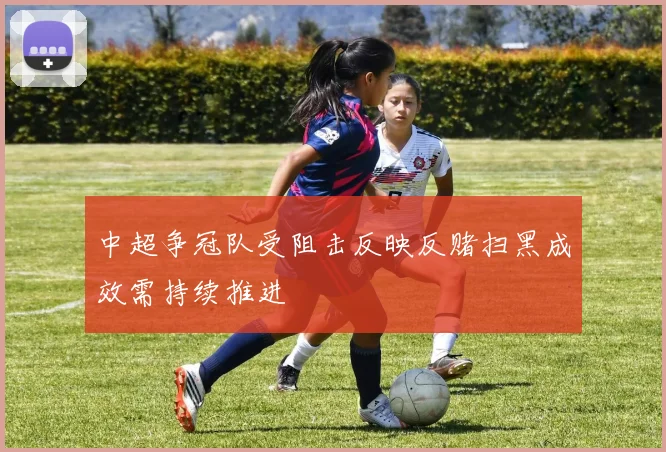 中超争冠队受阻击反映反赌扫黑成效需持续推进