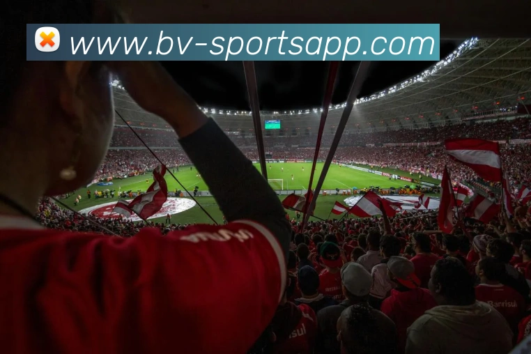 宝威体育平台生态图