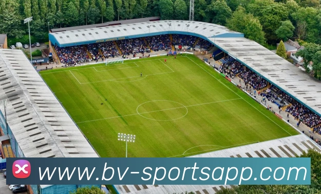 宝威体育APP 封面图