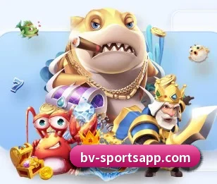 关于我们 - 体育资讯内容服务 - BOWWAYSPORTS