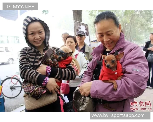 张伯霖分享摇篮舞庆祝喜讯家中爱犬迎来两只可爱小狗出生