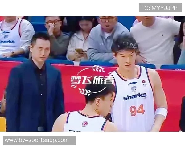 王哲林高效表现令人期待青岛虽遭遇开局困境但仍不放弃拼搏精神 王哲林高效表现令人期待青岛虽遭遇开局困境但仍不放弃拼搏精神